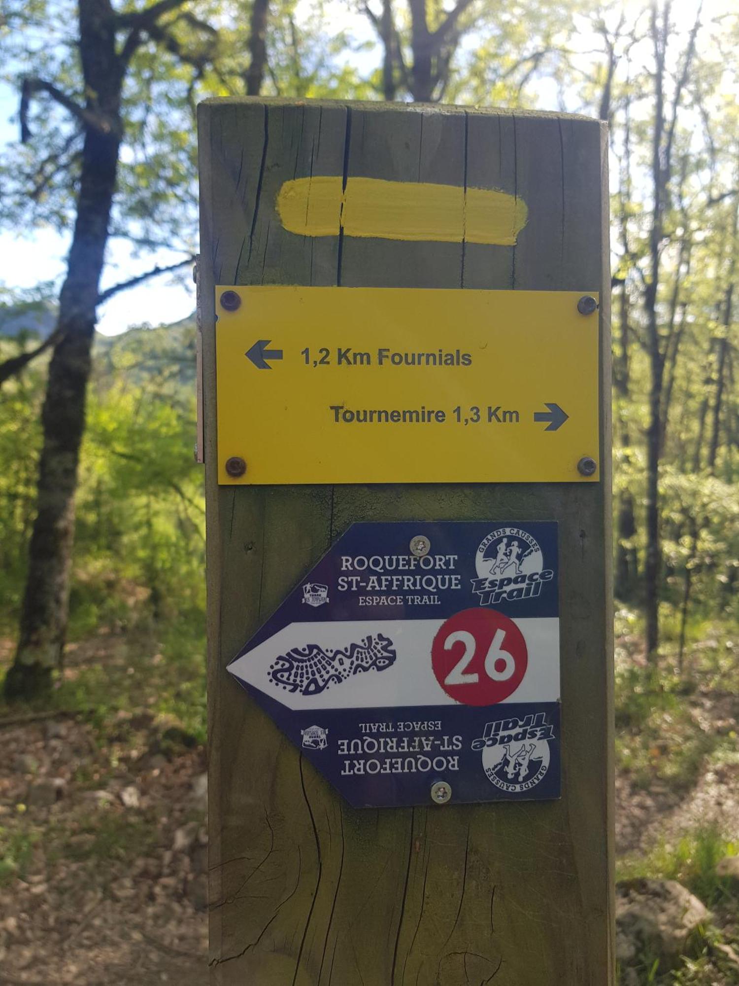 Gite Aux Tourterelles Tournemire  Εξωτερικό φωτογραφία